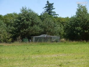 Propriété de chasse