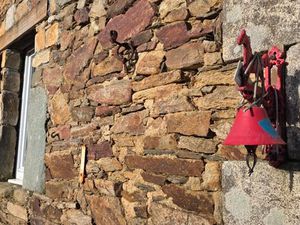 Maison 2 pièces 55 m²