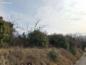 Carpentras  terrain constructible 5000 m2