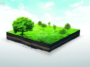 Terrain 1 343 m² Leognan