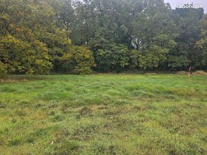 Terrain constructible