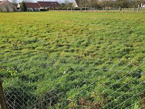 Terrain 1 pièce 13600 m²