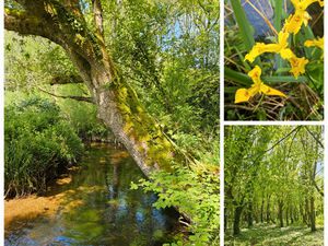 Terrains 3 1 ha (agricole et zone boisée classée)