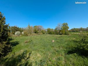 Terrain à bâtir 1 311 m² – Hors lotissement – Cadre campagne proche centre – Mouilleron-le