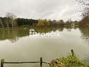 Terrain 18 650 m² Asse Le Boisne