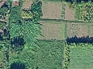 Recherche jardin  terrain de loisir ou à entretenir. Vente ou location