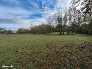 Loue terrain pour chevaux