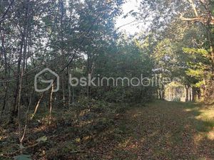 Forêt 1 428 m² Monclar De Quercy