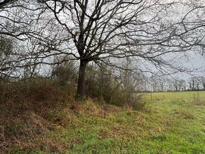 Pré de 2 5 hectares avec mare