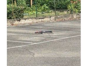 Place de parking Moulin à vent