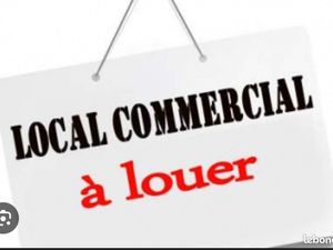Local activité professionnel