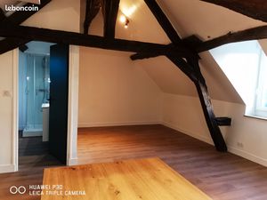 Studio Châteauneuf-sur-Loire