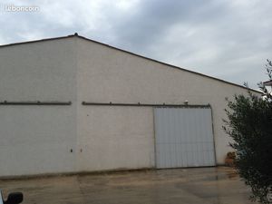 Hangar d'activite