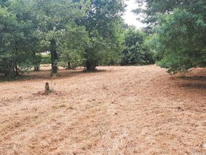 Terrain 380 m² Salles