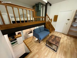 T1 Bis 26m2 vue canal de Brienne