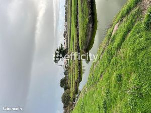 Terrain 11 140 m² L Ile D Olonne