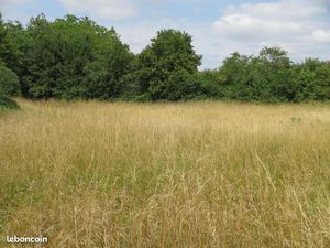 Terrain 2 018 m² Mansle