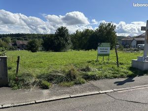 Rare à HAGENTHAL-LE-BAS