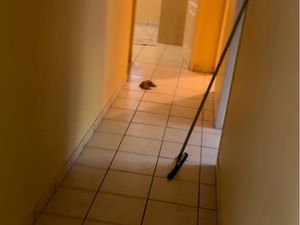 Location appartement Rumilly