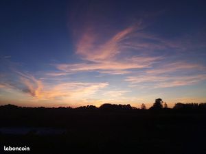 Cherchons maison à Romillé