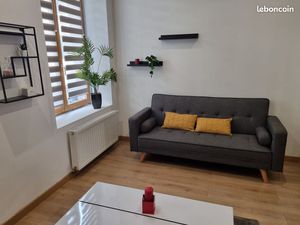 T2 Centre ville Monnet Trefilerie