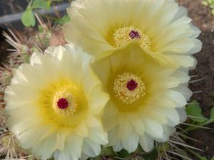 Recherche d'appartement en location