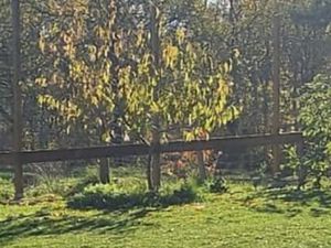 Terrain 860 m² Louchats