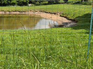 Terrain avec petit etang