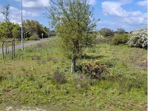 Terrain à trignac derrière Auchan