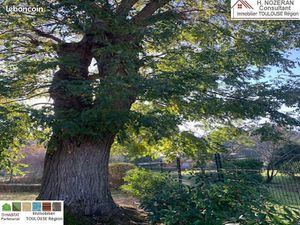 Maison 6 pièces 162 m²