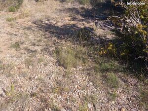 Loue parcelle terrain pour véhicule aménagé