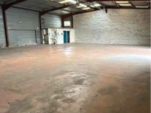 Location local d’activité