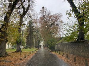 Appartement Atypique en duplex  de 80m2 à louer à St Cyprien