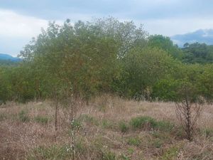 Terrain 1 131 m² Camps La Source