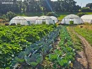 Maraîchage bio Terrain bassin