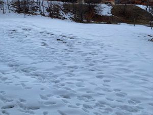 Terrain les Bottieres - domaine des Sybelles