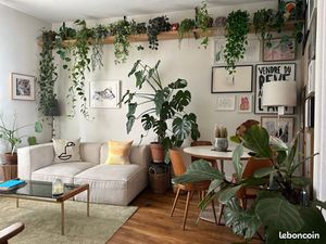 Appartement 35m2 à louer