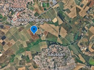 Terrain agricole Pignan