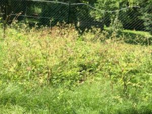 Terrain 322 m² Thorigny Sur Marne