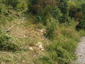 A saisir terrain agricole