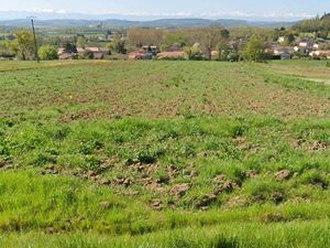 Très beau terrain cintegabelle 31550