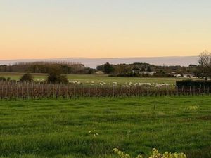 Terrain 1 070 m² Reignac