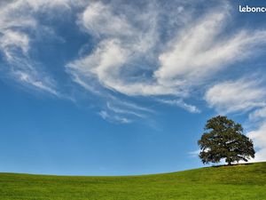 Terrain 700 m² – 168 000 – La Mézière (35520)