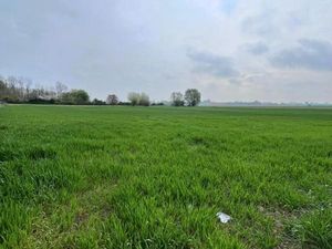 Terrain 442 m² Eringhem