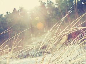 Terrain 905 m² Salles