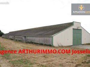 Local 4000 m² Josselin