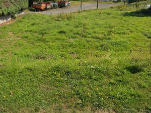 Terrain constructible