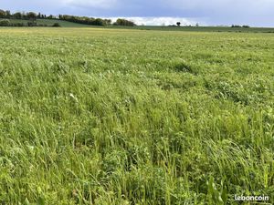 Terrain 1 414 m² Mansle