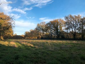 Parcelle agricole 2 hectares