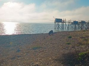 Urgent cherche logement T2 pour janvier